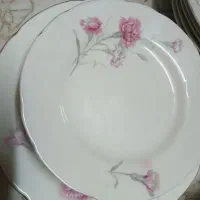 سرویس چینی گل میخک  قدیمی و عتیقه