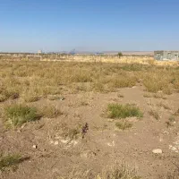 زمین کشاورزی|فروش زمین و ملک کلنگی|بناب, |دیوار