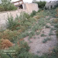 معاوضه زمین۲۶۰متری دارای سندتکبرگ باخودرو اروندی|فروش زمین و ملک کلنگی|باغ ملک, |دیوار