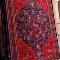 فرش ارم(فرش۱۰۰۰شانه)|فرش|یاسوج, |دیوار