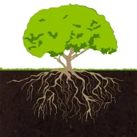 انواع کود ارگانیک و تقویتی