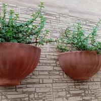 اجرای باغچه