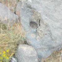 باغ ویلا زمین کشاورزی با آب وبرق