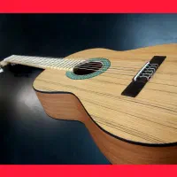 فروش گیتار با کیفیت کارگاه گیتار سازی،تعمیر گیتار