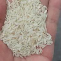 برنج۱۰۰٪خالصشمالمستقیمازکشاورز|خوردنی و آشامیدنی|زرگرشهر, |دیوار