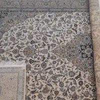 فرش ۶ متری|فرش|بهشهر, |دیوار