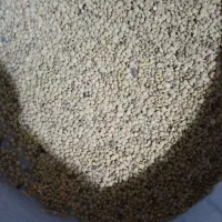 عدس تازه امسال کیلویی۲۵۰