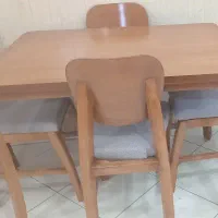 گوش فیلی  چوب روس