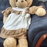خرس بزرگ و شیک و نو