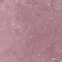 فروش لوبیا قرمز یاقوت زنجان