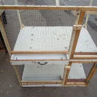 قفس جفتی کبوتر