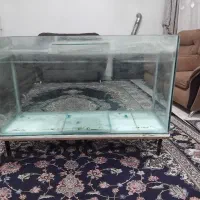 اکواریوم بزرگ فروش فوری.|ماهی|آبیک, |دیوار