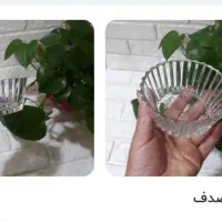 ظروف چینی نو|ظروف سرو و پذیرایی|صدرا-فارس, فاز ۲|دیوار