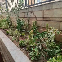 معرفت-دربست-دو-طبقه-شمال-و-جنوبی