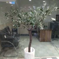 درخت مصنوعی زیتون