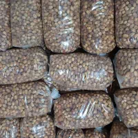 فروش خرما قصر