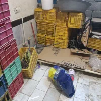 سبد بزرگ سالم