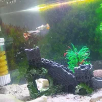 آکواریم شیشه خم|ماهی|نی‌ریز, |دیوار