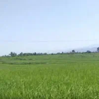 فروش زمین طرح هادی