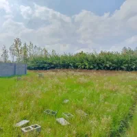 زمین 1450متری مناسب استخر و کلبه سوئیسی|فروش زمین و ملک کلنگی|خمام, |دیوار