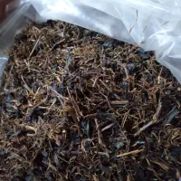 چوب چائی