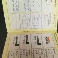 واگذاری گربه اسکاتیش|گربه|اردبیل, |دیوار