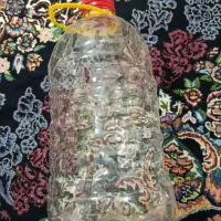 ظروف یکبارمصرف
