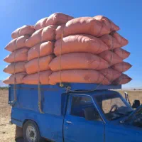 کاه گندم کاه خریدوفروش