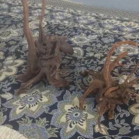 سنگ مرجان .چوب آبنوس و..