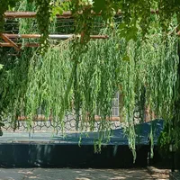 اجاره ویلا و باغ کوتاه مدت سپیدان هماشهر|اجارهٔ کوتاه‌مدت ویلا و باغ|شیراز, گویم|دیوار