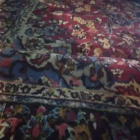 قالی دستباف|فرش|آمل, |دیوار