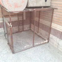 تور بزرگ برای پرنده|لوازم جانبی حیوانات|نیک شهر, |دیوار