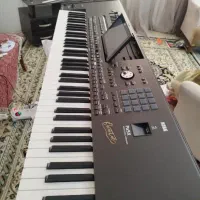 pa5x oriental 76 آکبند