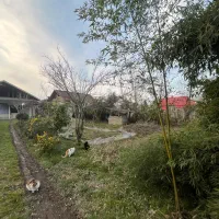 زمین-مسکونی-سیاهکل