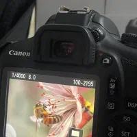 دوربین کنونcanon 2000D|دوربین عکاسی و فیلم‌برداری|شهریار, شهریار|دیوار