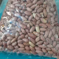 بادوم زمینی اعلا|عمدهفروشی|فردیس, شهرک راه آهن|دیوار