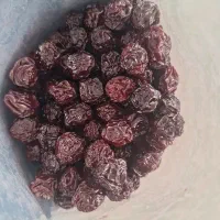 میوه خشک کارگاهی عمده و جزئی|عمده‌فروشی|شیراز, ارم|دیوار