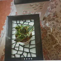 میز جلو مبلی با سه تا عسلی|مبلمان خانگی و میز عسلی|قم, انصارالحسین|دیوار