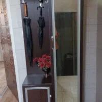جاکفشی و آینه قدی