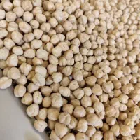 خرید و فروش نخود و انواع خوراک دام