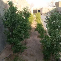 اجاره روزانه خونه باغ ویلایی|اجارهٔ کوتاهمدت ویلا و باغ|کاشان, دشت لتحر|دیوار