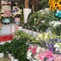 استخدام کارگر گلفروشی وارد و نیمه وارد