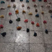 تعداد ۸عدد فرش دستبافت|فرش|تهران, سنگلج (شاپور)|دیوار