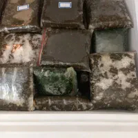 سبزی خورشتی رامهرمز