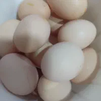 تخم مرغ محلی