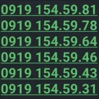 0919.154.59.31