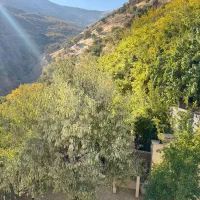 شهرستان پاوه روستای دشه سویت اجاره ای|اجارهٔ کوتاهمدت آپارتمان و سوئیت|پاوه, |دیوار