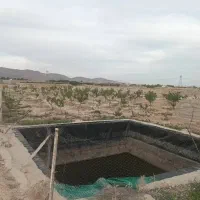 فروش  باغ باقیمت عالی