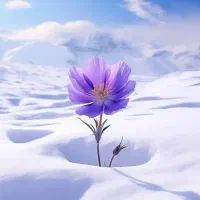 کوهنوردی،طبیعت گردی