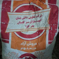 بذر کلزامادری